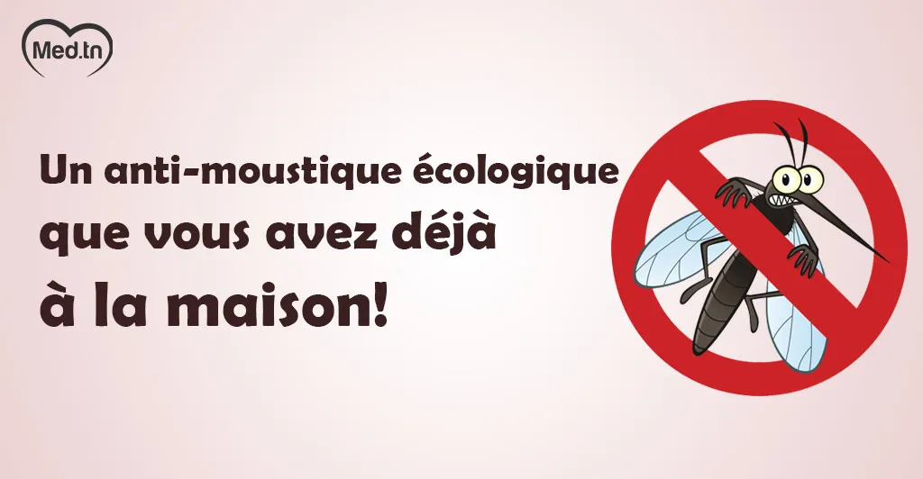 Un anti-moustique écologique que vous avez déjà à la maison!